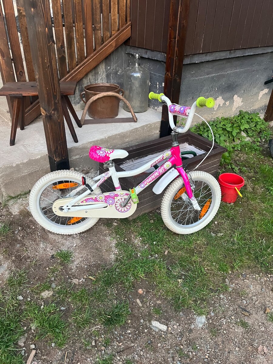 Divci kolo 16’