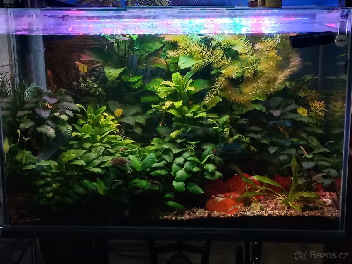 Akvarium 340L