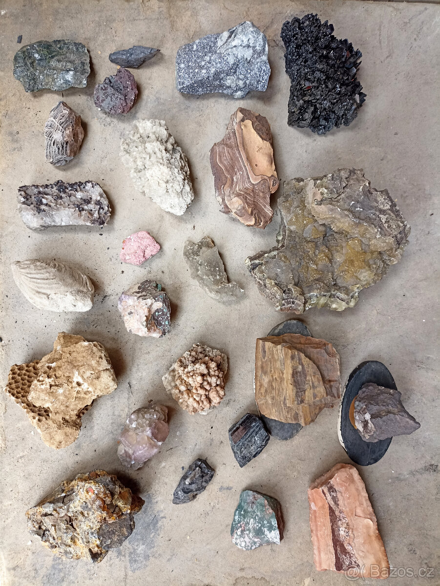 Sbírka minerálů a zkamenělin