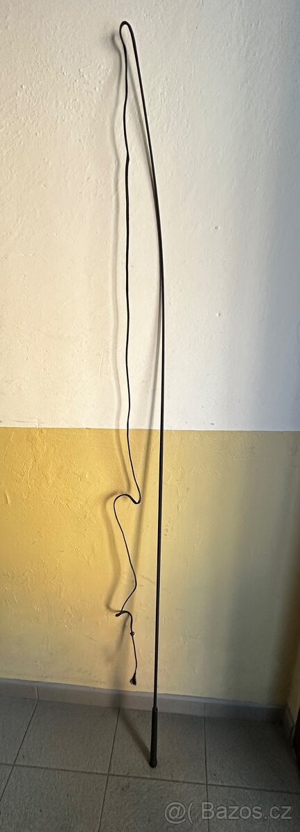 Lonzovaci bic