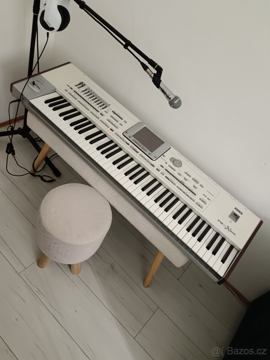 Korg pa2x pro