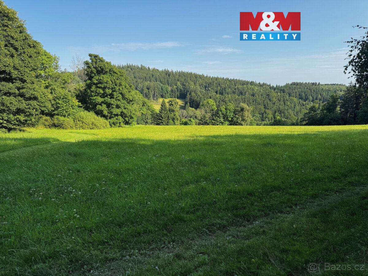 Prodej louky v Kořenově - Rejdice