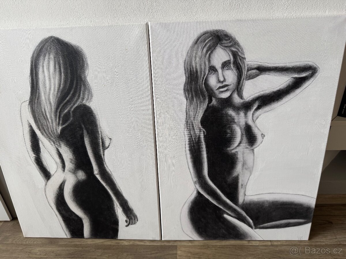 Obrazy ženský akt 50x70 2ks