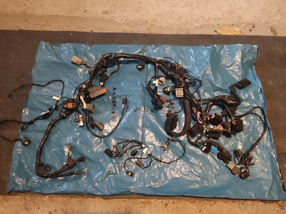 Elektroinstalace Triumph