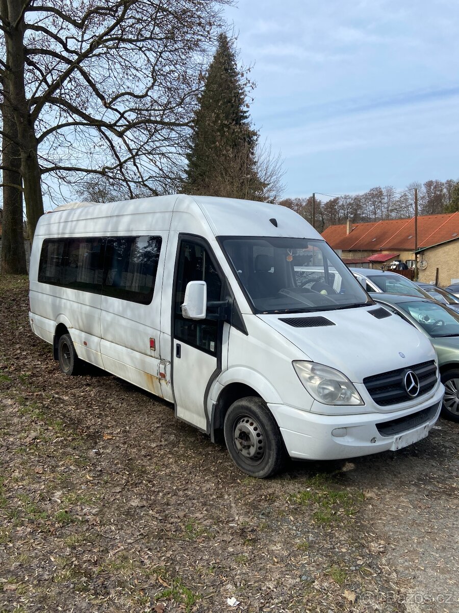 MERCEDES SPRINTER 906 21 MIST