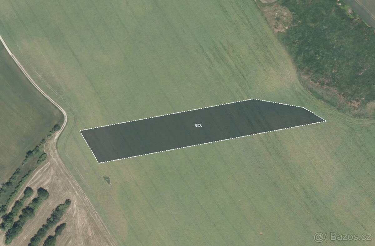 Zemědělská půda, prodej, Plumlov, Prostějov