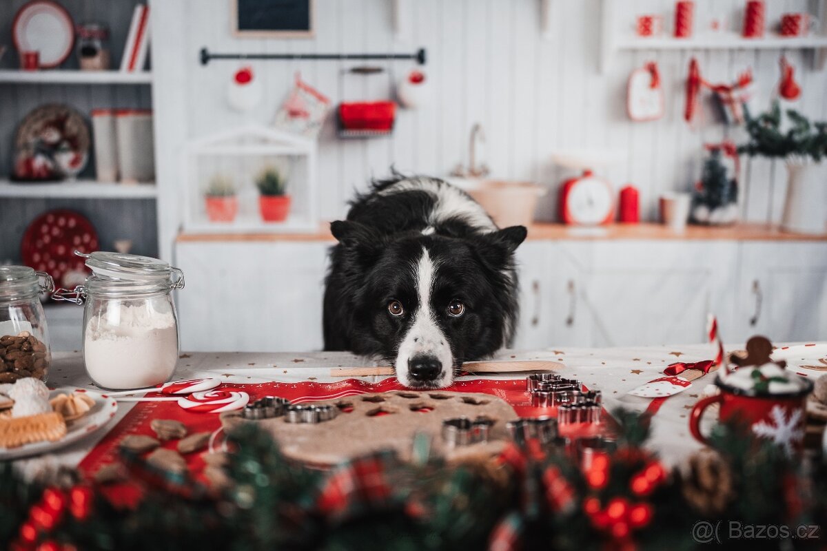 Vánoční fotopozadí - kuchyň 2,2x1,5m