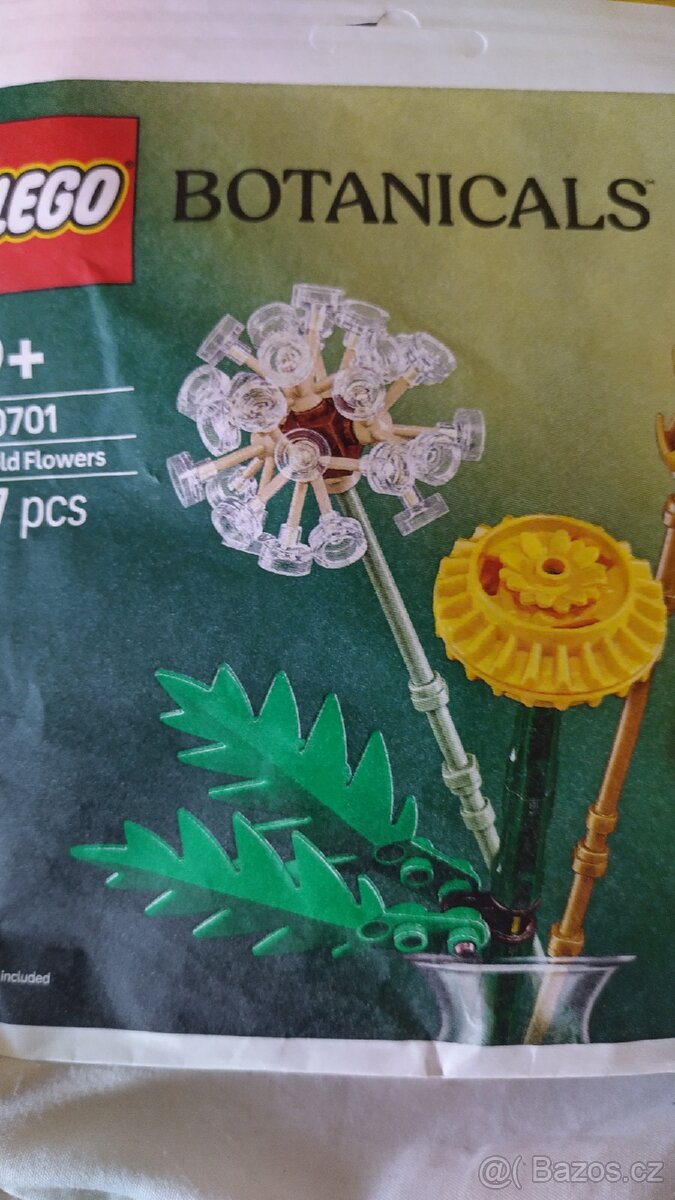 Albert Lego