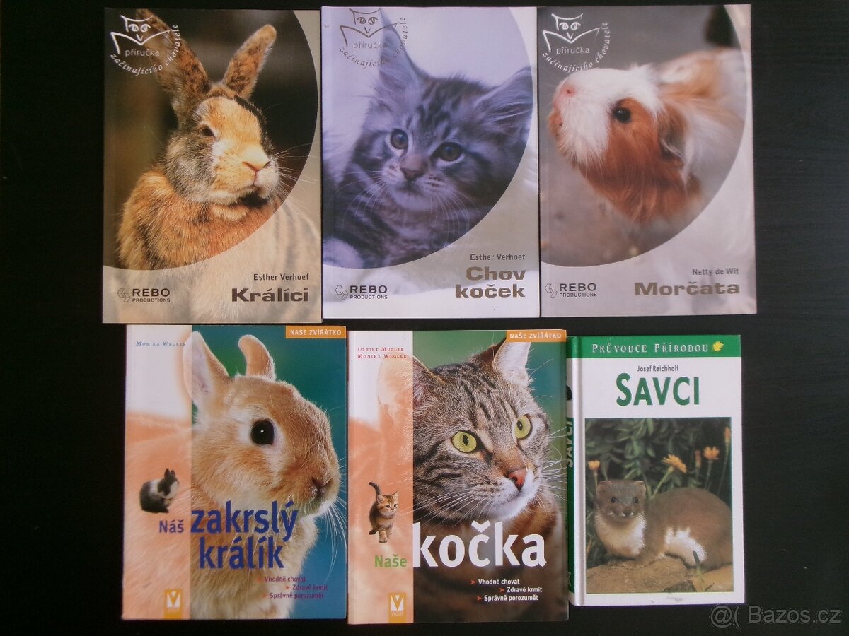 Chovatelství - králíci, kočky, morčata + savci.