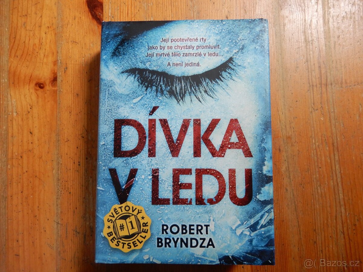 Dívka v ledu
