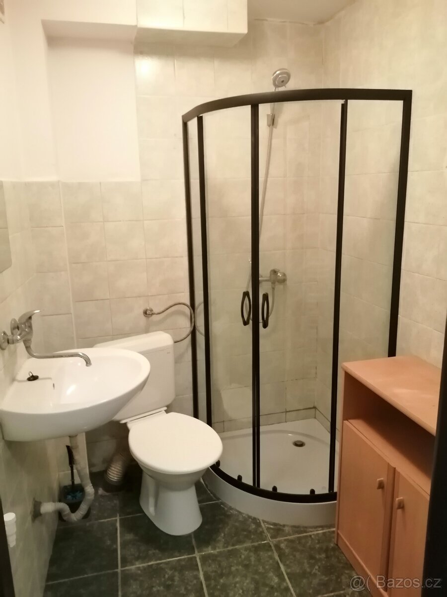 Pronájmu byt 1+kk ivanovice na hane
