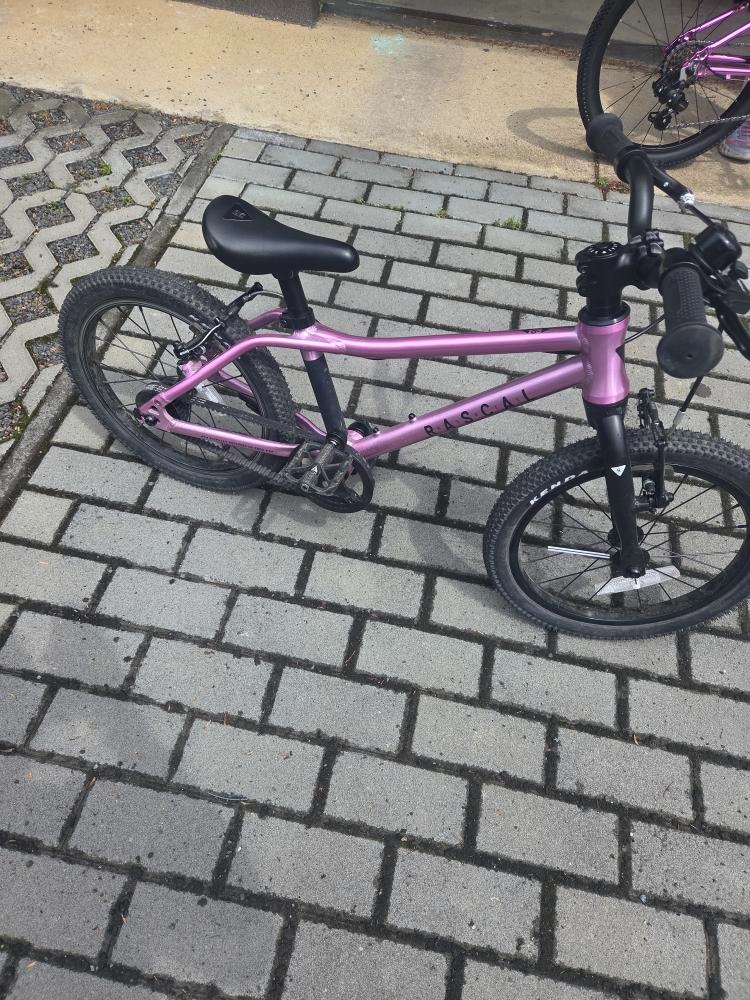 Detské kolo Rascal 16 Raspberry