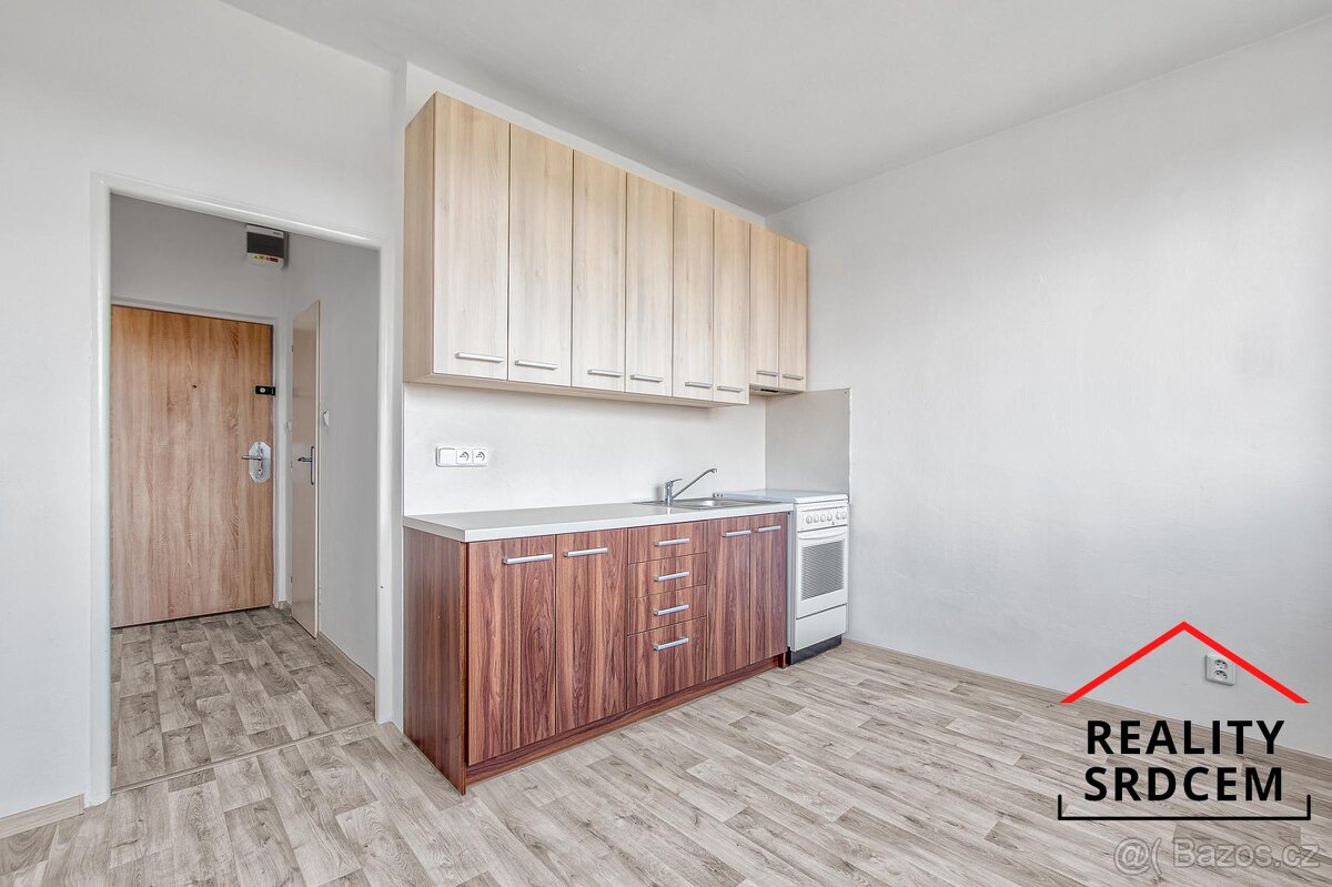 Podnájem zrekonstruovaného a prostorného bytu 1+1, 35 m2, ul