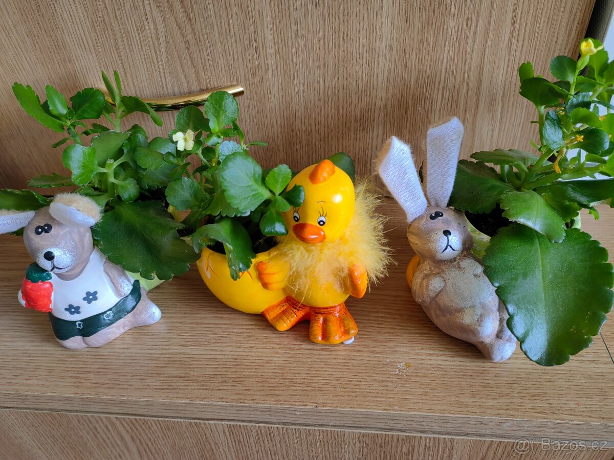 Květináče + Pokojové květiny