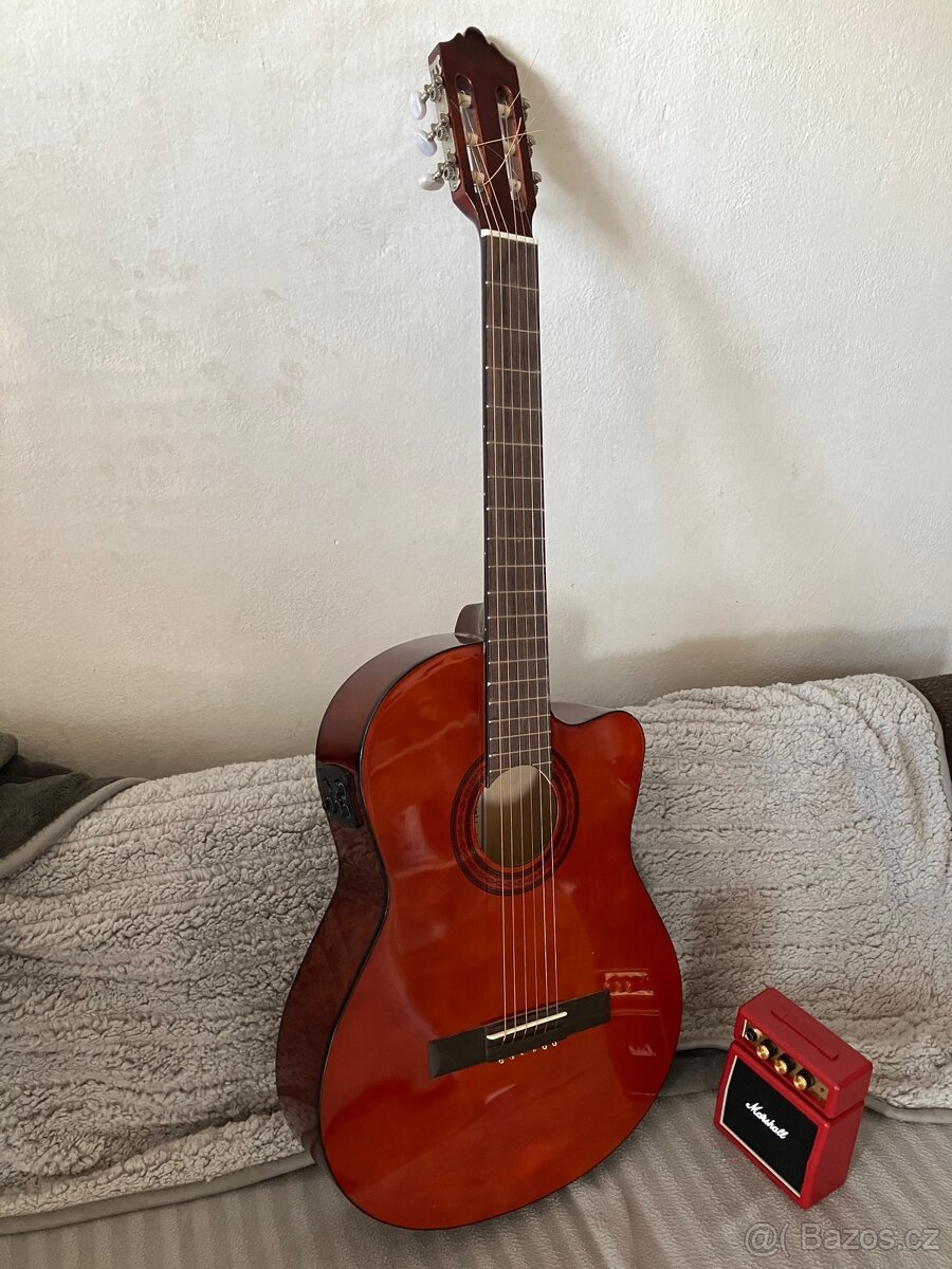 Nová elektroakustická kytara
