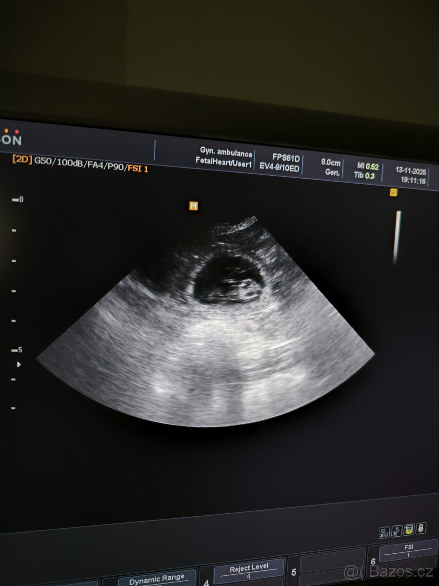 Chovatelská stanice Silesia Iron americký bezsrstý teriér