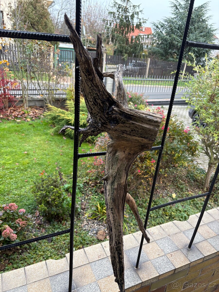 Kořen do akvária nebo terária