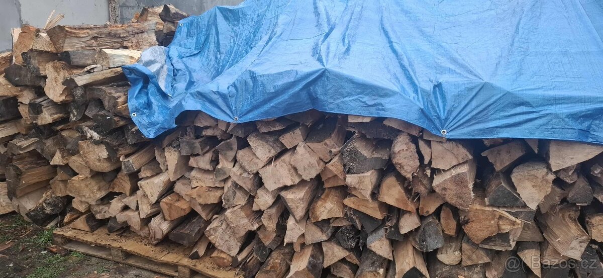 LEVNÉ PALIVOVÉ DŘEVO