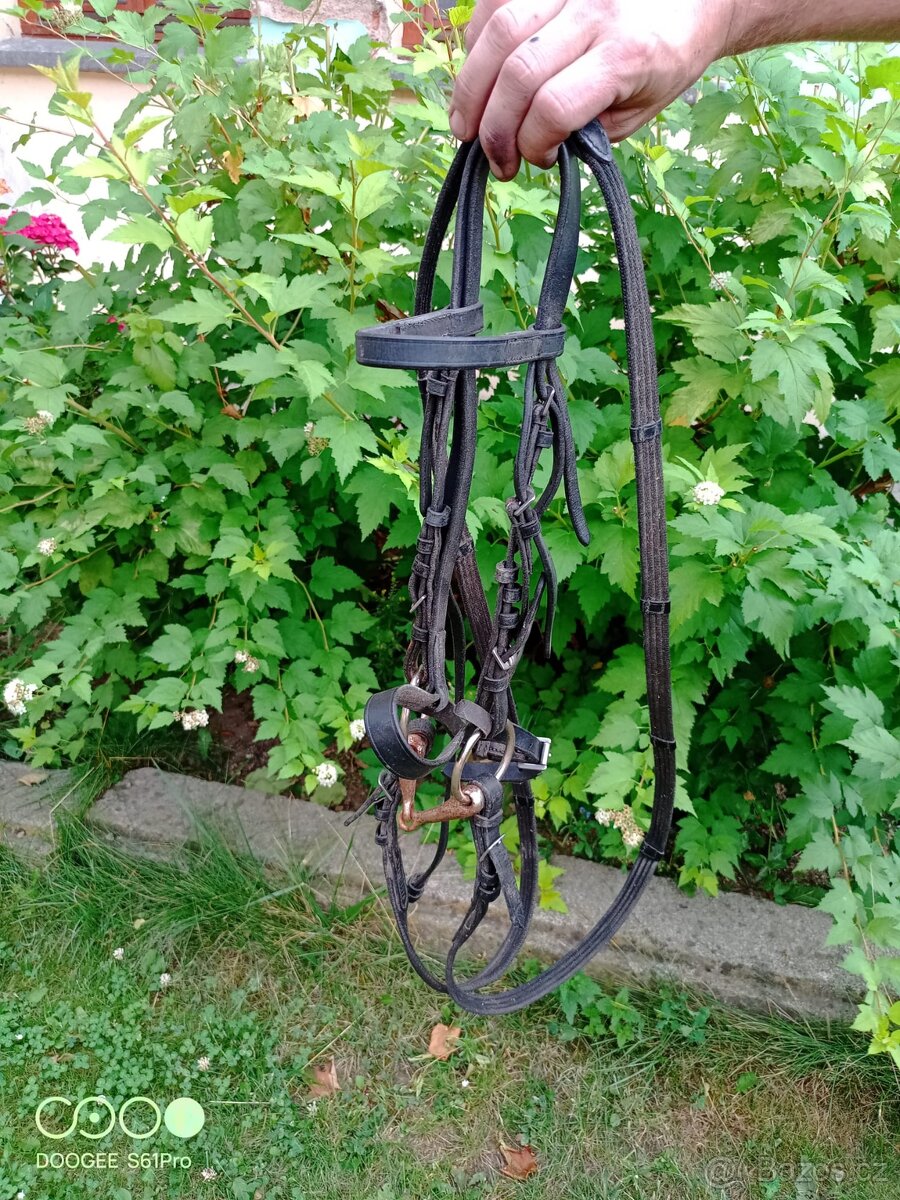 Uzdečka na poníka