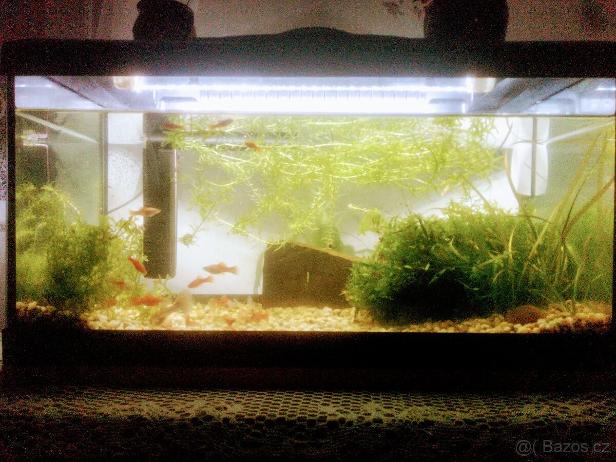 AKVÁRIUM 60x30x30- 54 litrů + kryt LED DIVERSA
