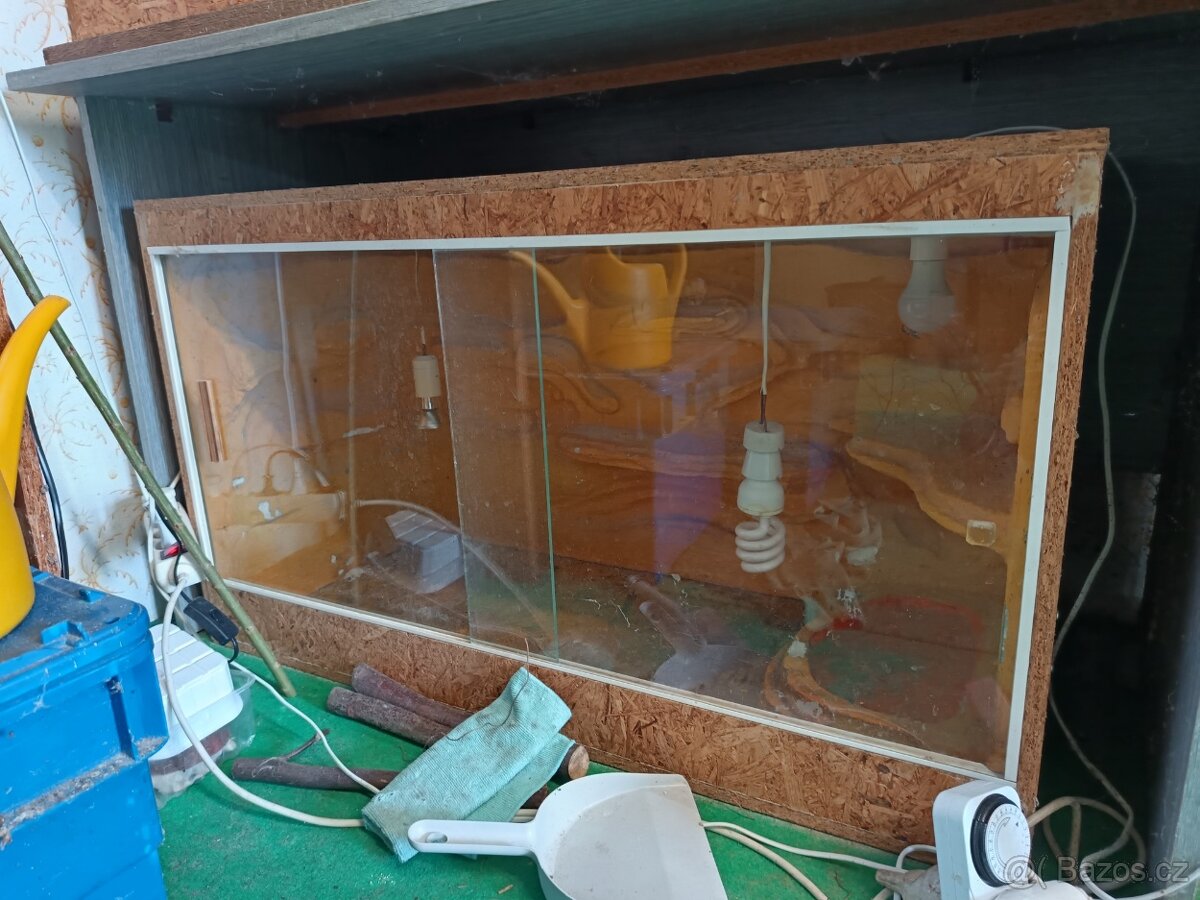 Terarium
