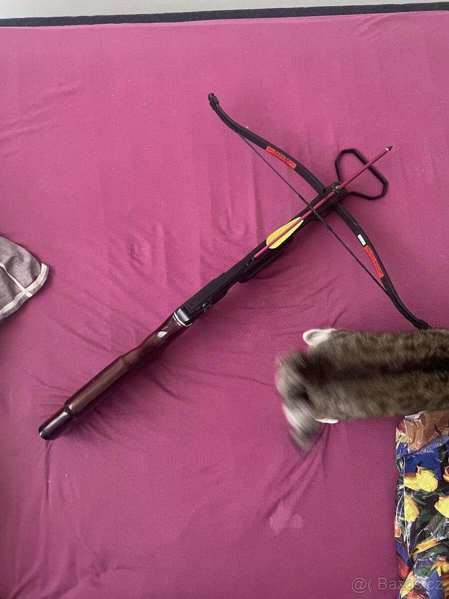 Reflexní kuše 95 lbs + 2 šipy