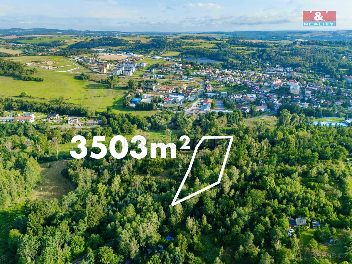 Prodej lesa ve Velkém Meziříčí