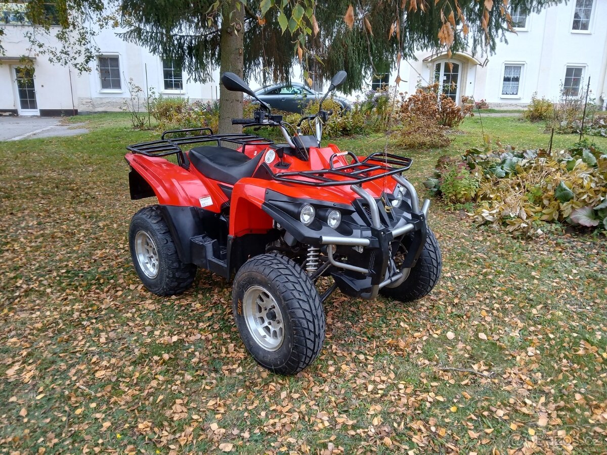 Access Max 300