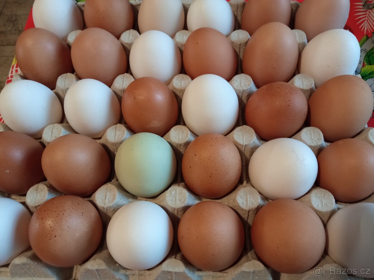 DOMÁCÍ VAJÍČKA