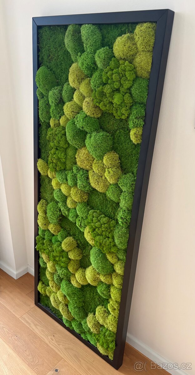 Mechový obraz velký