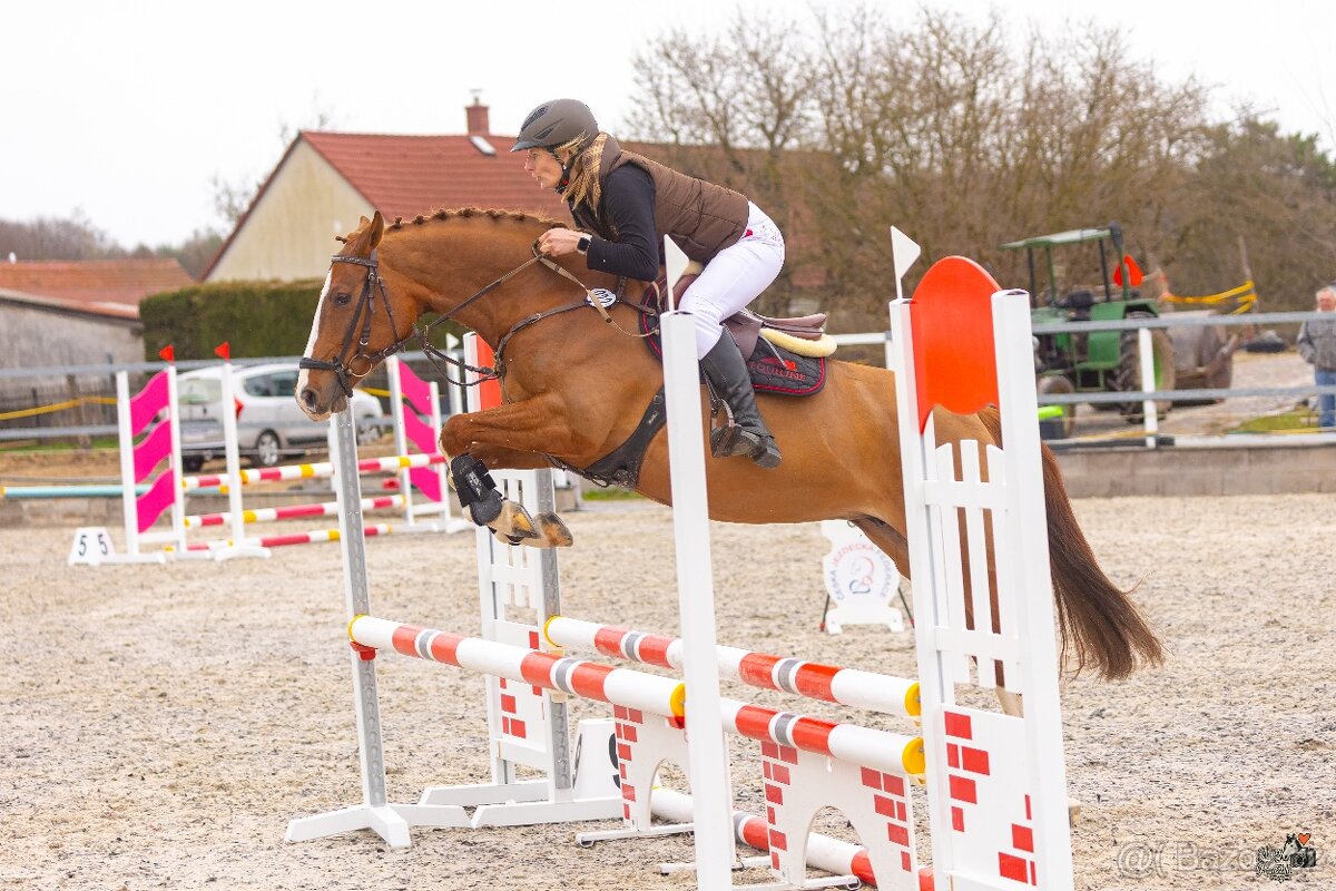 Líbivá ryzka na prodej