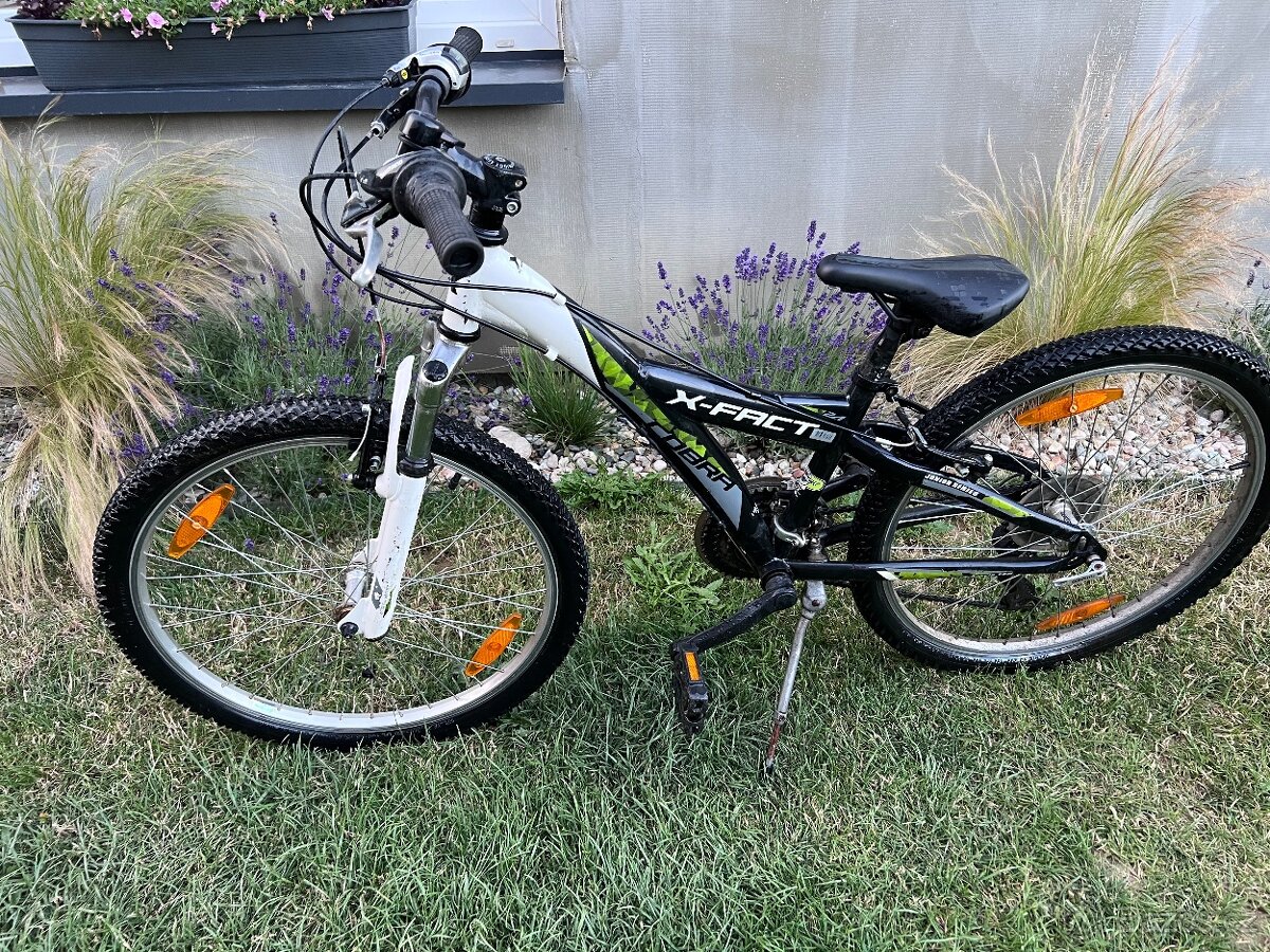 X- FACT COBRA 24"