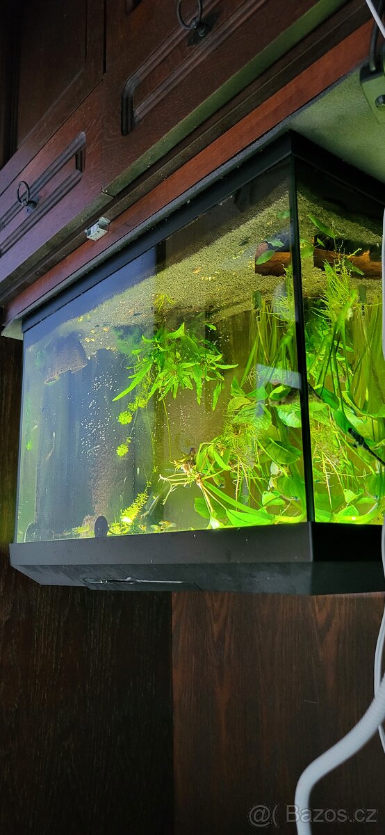 Akvárium 70 l