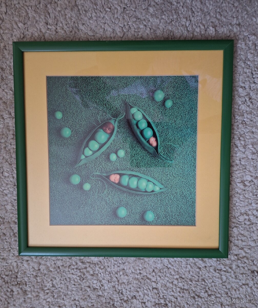 Obraz 38x38 cm