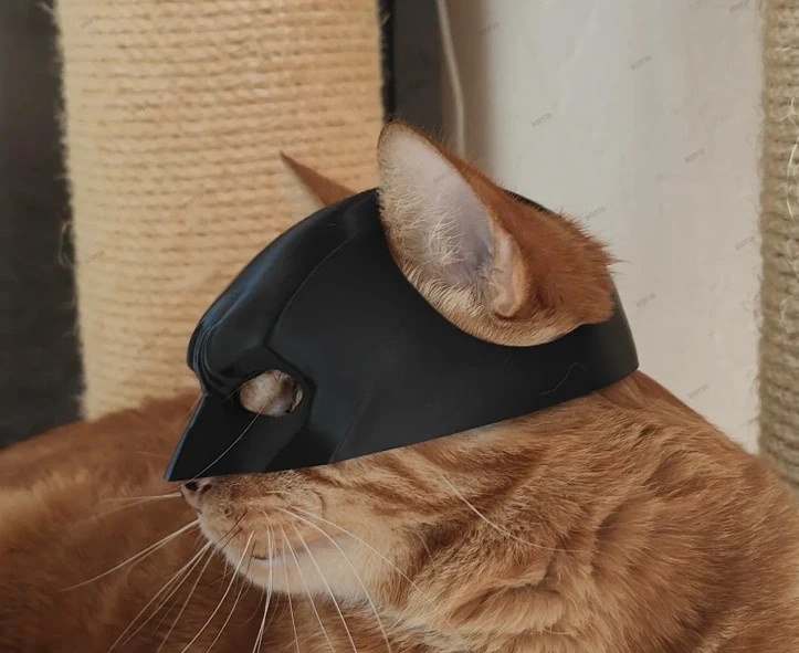 Batman maska pre mačku