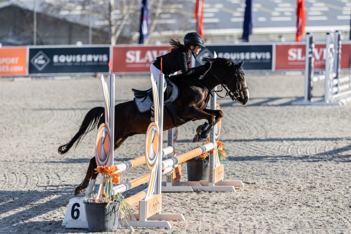 Sportovní pony kat. A