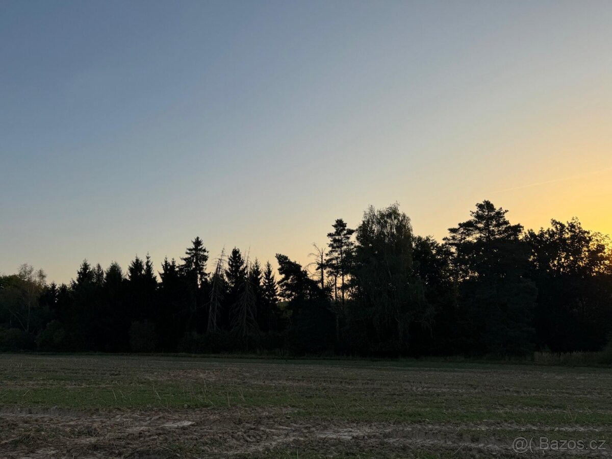 Prodej lesního pozemku v k.ú. Horní Bukovina