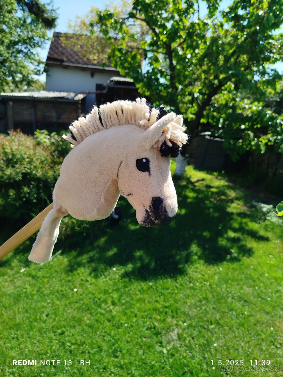 Hobby horse