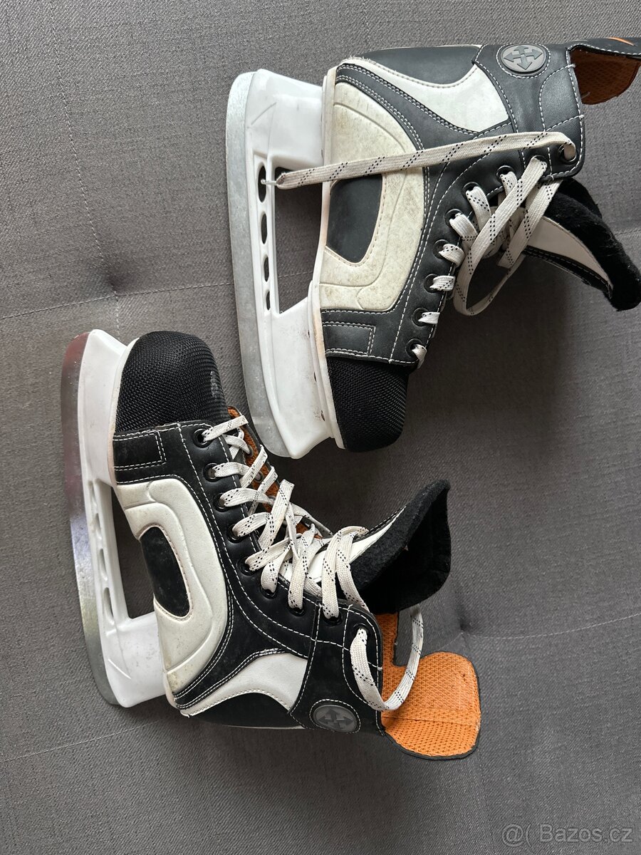 Panské lední brusle