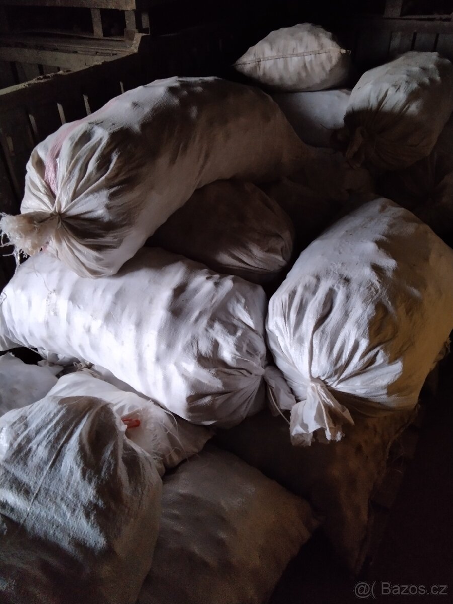 KRMNÉ BRAMBORY, PŘI VĚTŠÍM ODBĚRU -SLEVA-1, 50kč/kg