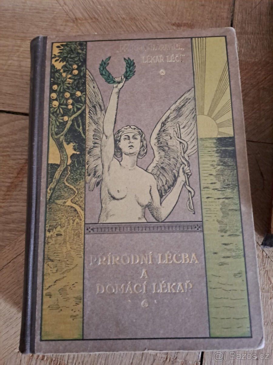 Přírodní léčba a domácí lékař II