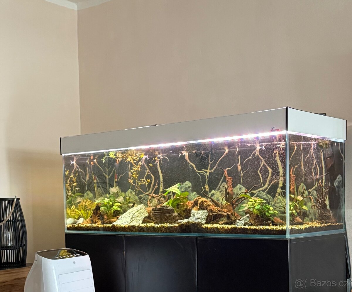 Akvárium 450l