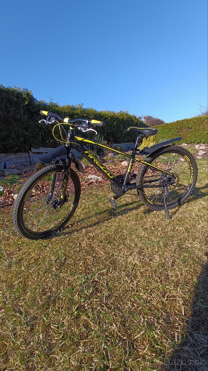 Chlapecké jízdní kolo Arezzo roco 24"