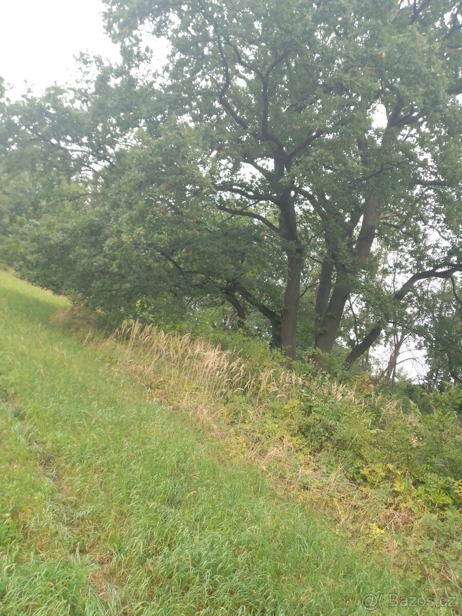 Louka u Trnobran, okr. Litoměřice. Přístupný pozemek