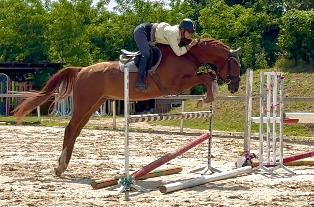 Valach 2020 po For Treasure VDL