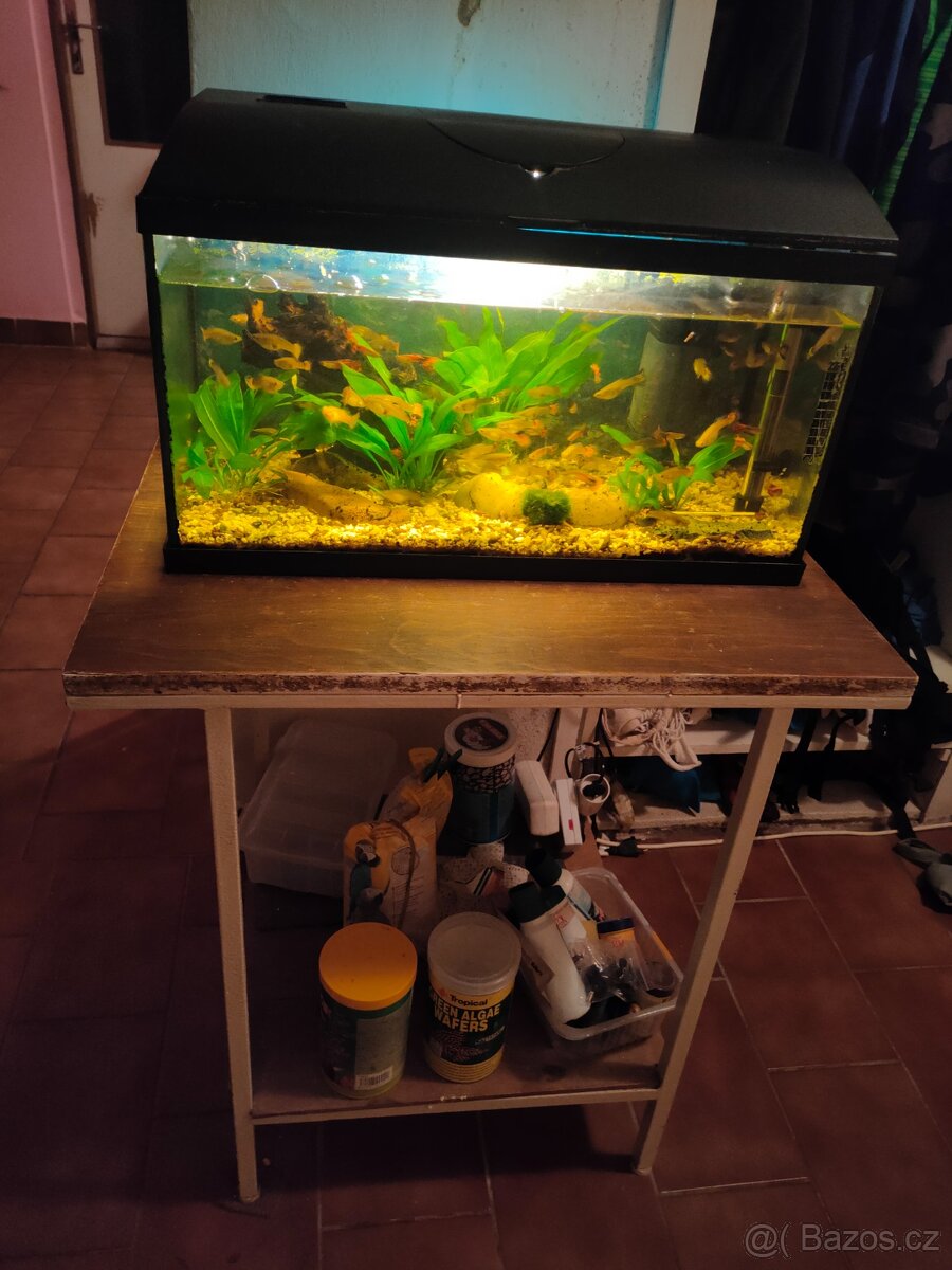 Akvárium kompletní