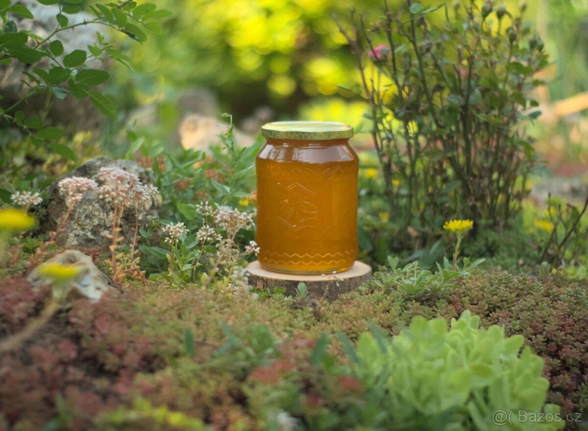 Kvalitní med z jižní moravy