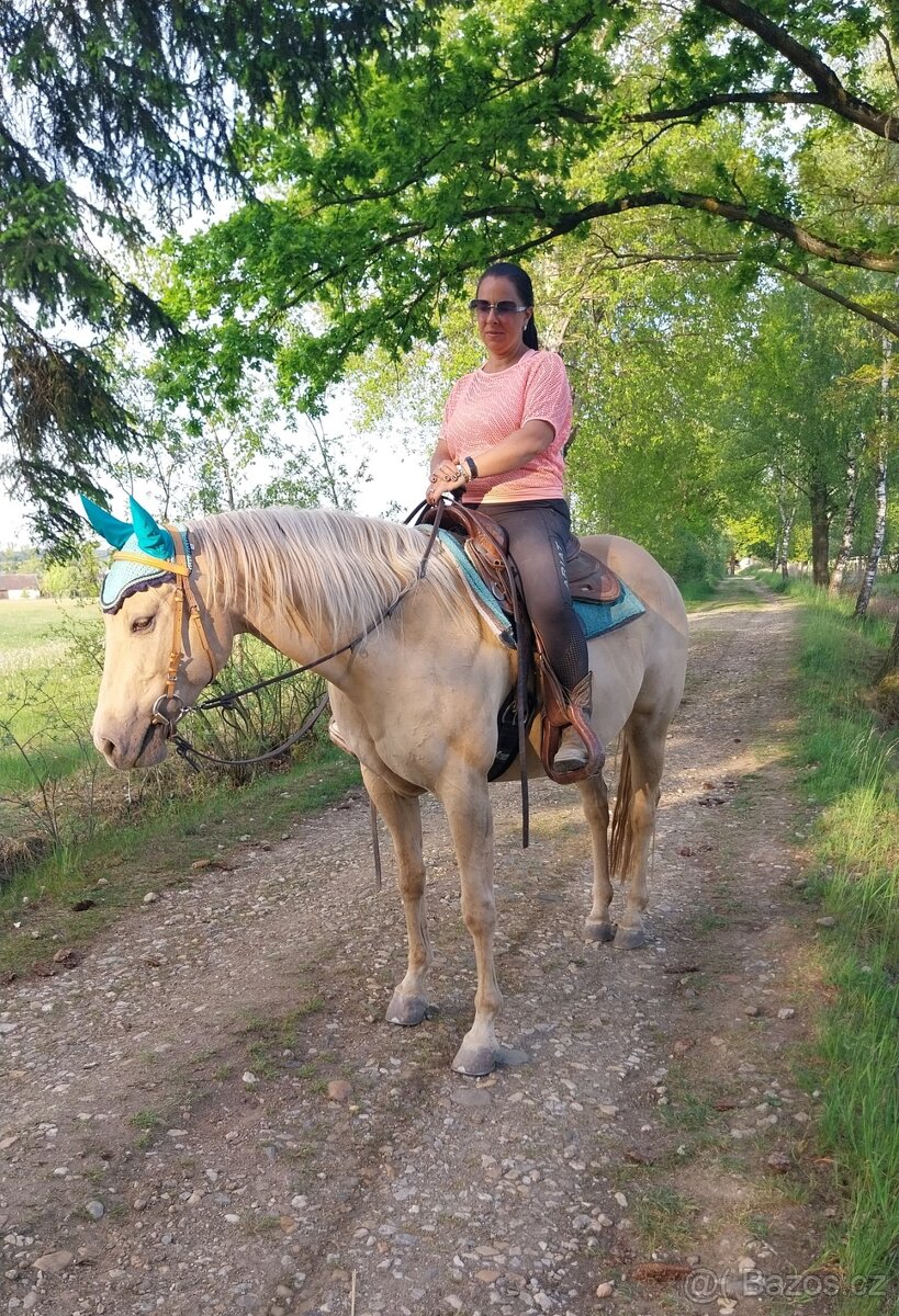 AQH klisna 13l. na rekreační ježdění