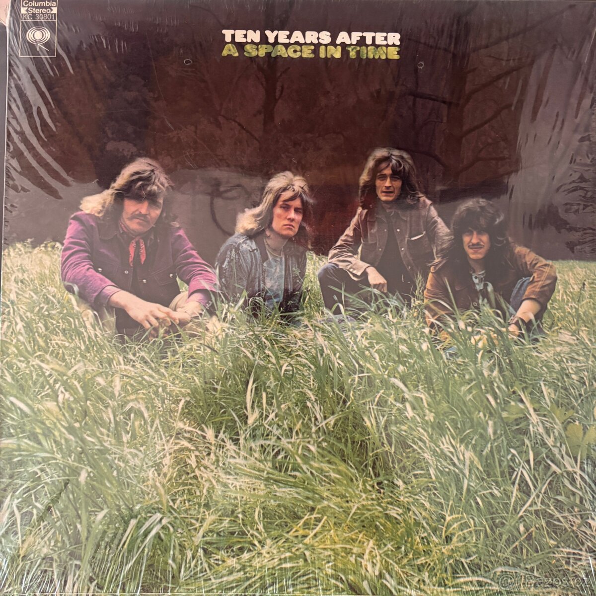 Ten Years After — A Space In Time. LP