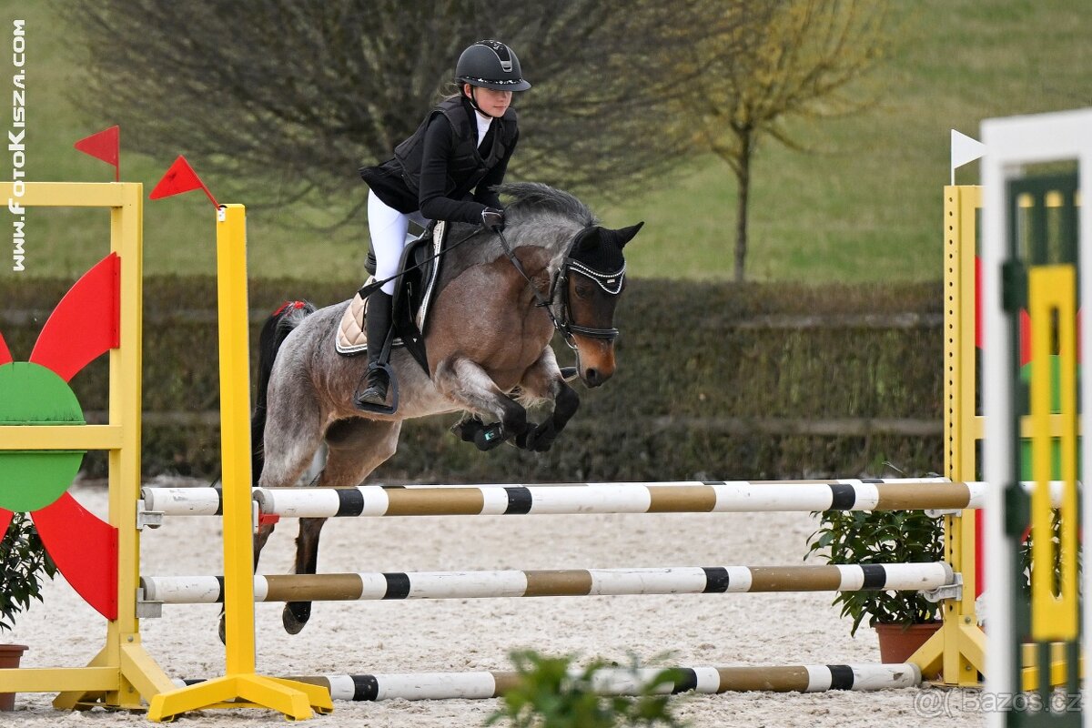 Pony A - Merci